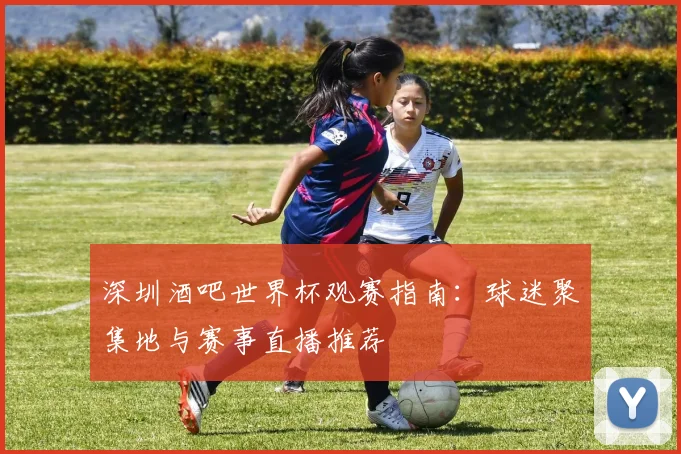 深圳酒吧世界杯观赛指南：球迷聚集地与赛事直播推荐